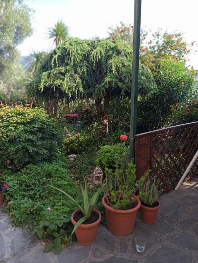Il Glicine Cozy Appartamnent, Near Sestri Levante Between Cinque Terre E Portofino Casarza Ligure Kültér fotó