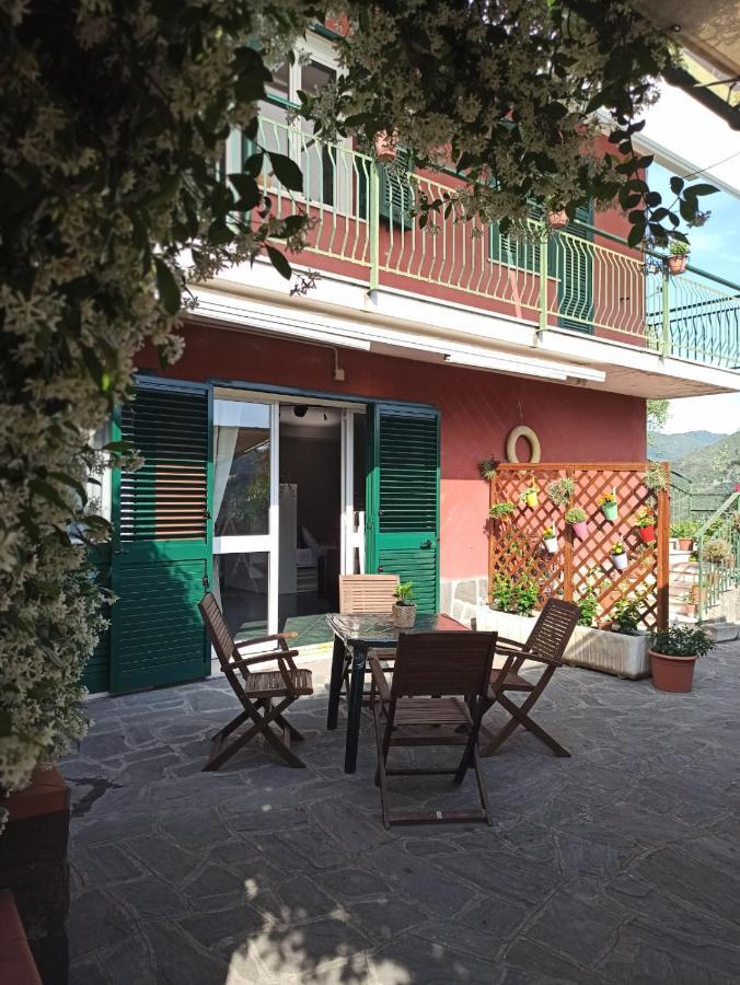 Il Glicine Cozy Appartamnent, Near Sestri Levante Between Cinque Terre E Portofino Casarza Ligure Kültér fotó