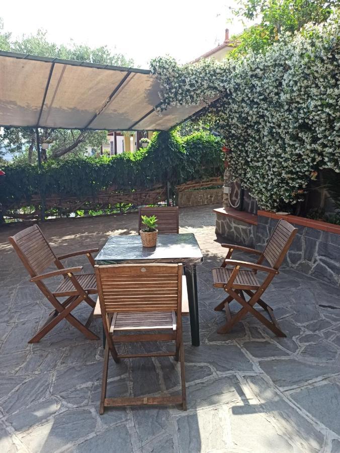 Il Glicine Cozy Appartamnent, Near Sestri Levante Between Cinque Terre E Portofino Casarza Ligure Kültér fotó