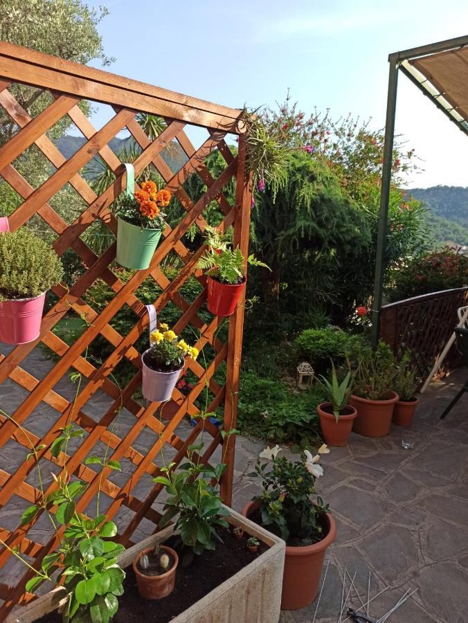 Il Glicine Cozy Appartamnent, Near Sestri Levante Between Cinque Terre E Portofino Casarza Ligure Kültér fotó
