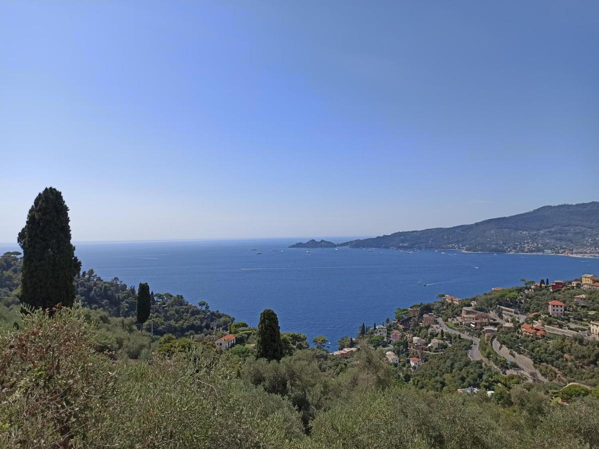 Il Glicine Cozy Appartamnent, Near Sestri Levante Between Cinque Terre E Portofino Casarza Ligure Kültér fotó