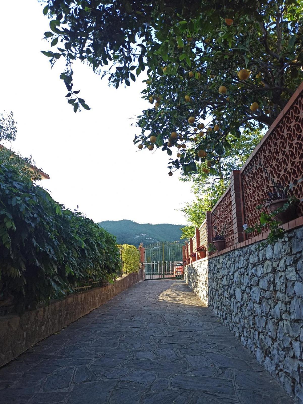Il Glicine Cozy Appartamnent, Near Sestri Levante Between Cinque Terre E Portofino Casarza Ligure Kültér fotó